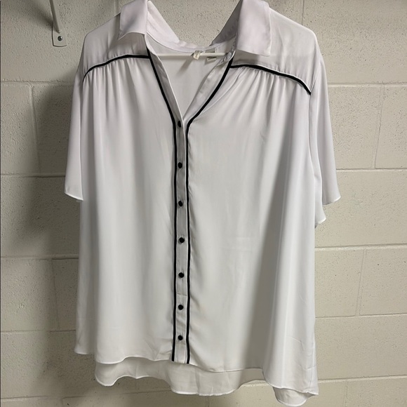 Cato Tops - Cato White and Black Button Down Blouse